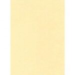 Cartulina Kimberly En Todos Los Tamanos Y De Dos Colores Unidad Beige