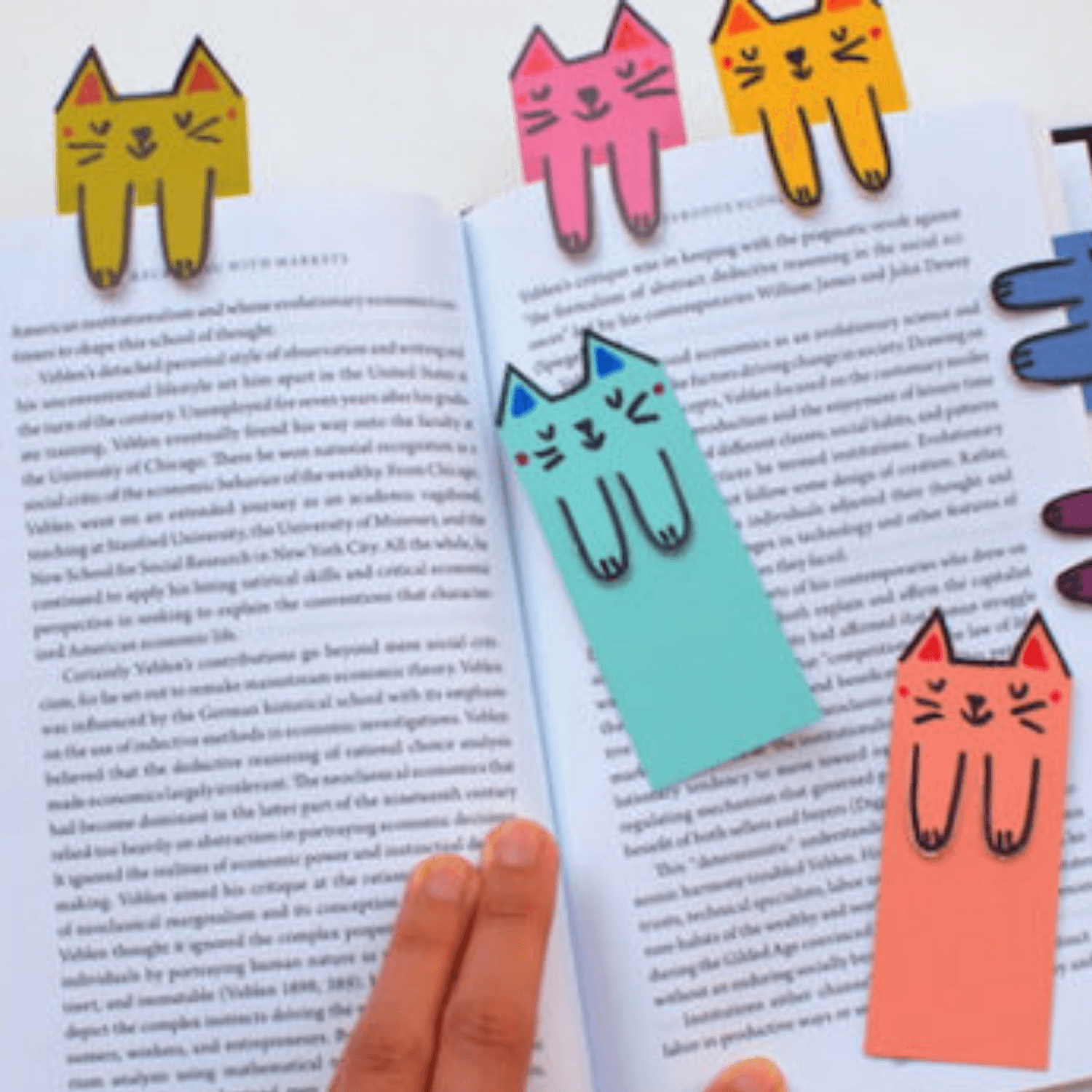 Cartulina Plana De Colores Fluorescen manualidades gato Panafargo