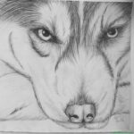 Lapiz Jumbo PRIMAVERA X 6 Dibujo De Un Lobo