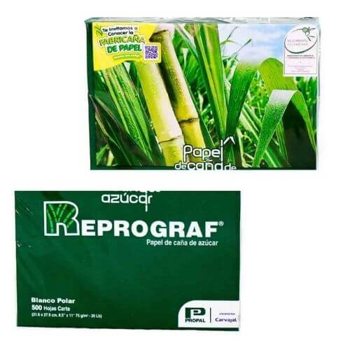 Resma media carta Panafargo